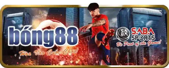 Bước 4: Xác minh ứng dụng